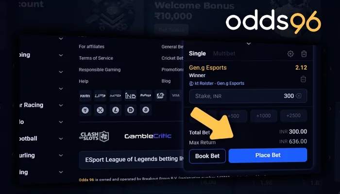 Place a bet on the eSports game at the bookmaker's office Odds96