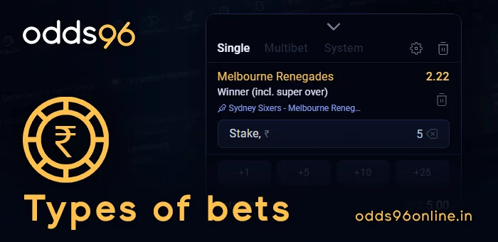 Types of bets in the coupon on Odds96
